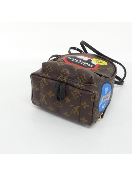 Louis Vuitton Monogram World Tour Palm Springs Backpack Mini main image 5